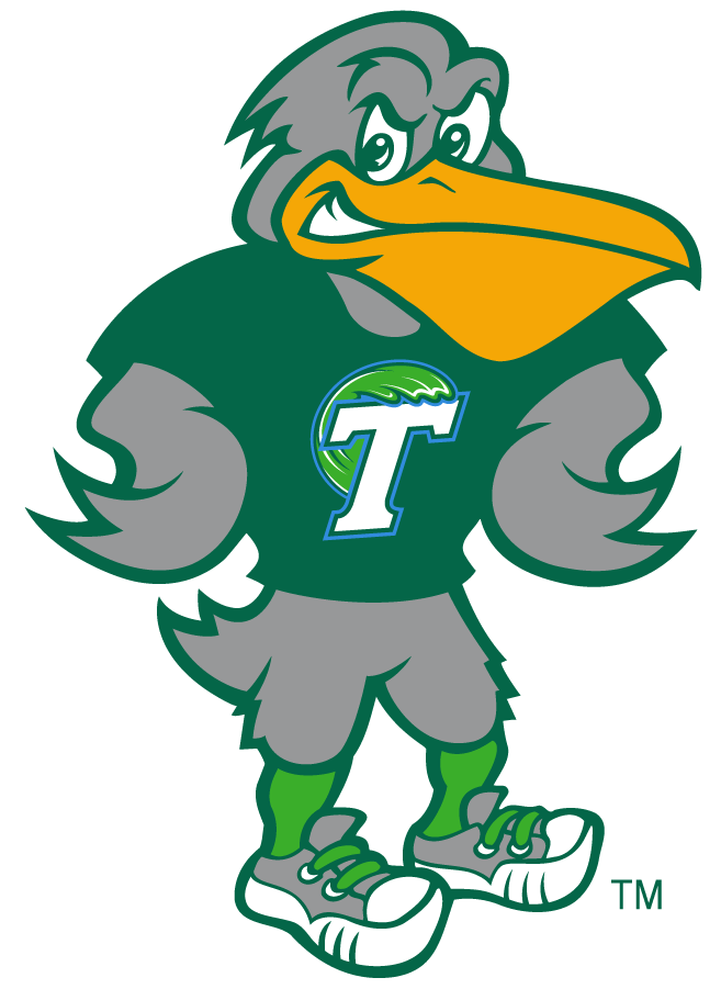 Tulane Green Wave 2017-Pres Mascot Logo DIY iron on transfer (heat transfer)